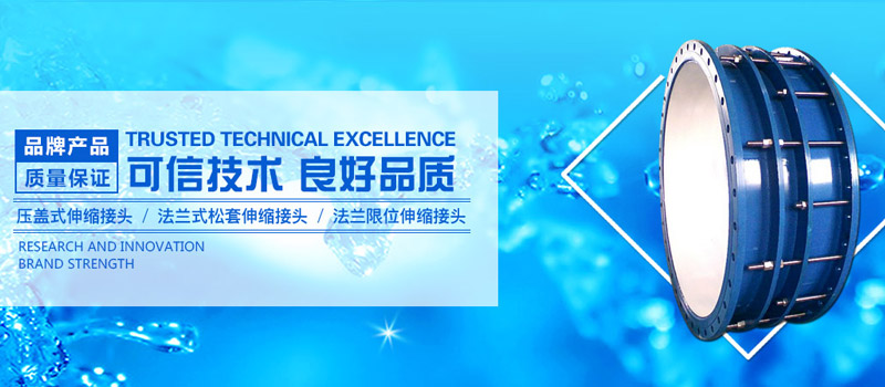 水蜜桃在线观看网站节