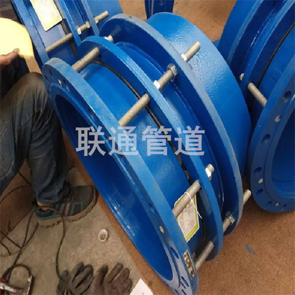 海口双法兰限位水蜜桃在线观看网站器